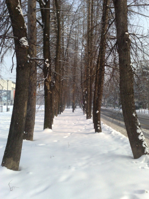 tunel