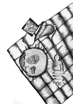 salomon
