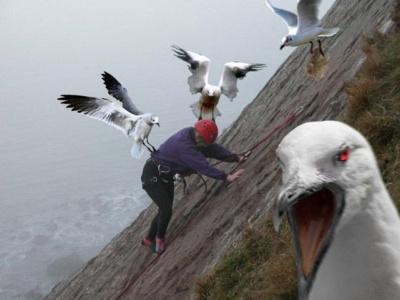 ATTACK!