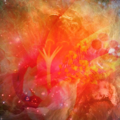 Cosmic Flower