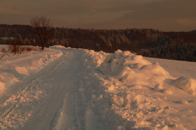 Polną  drogą