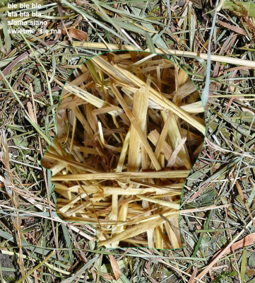 ...żercy