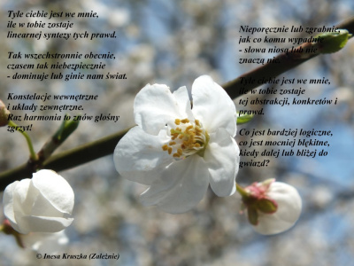 Zależnie