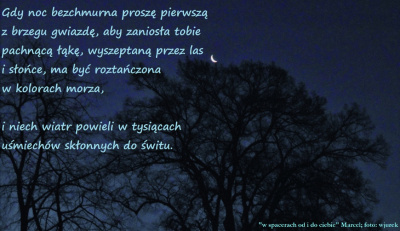 spacery o brzasku