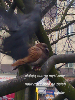 wyczekiwanie