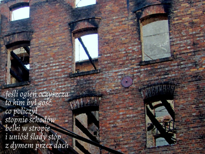 pytanie niewystygłe