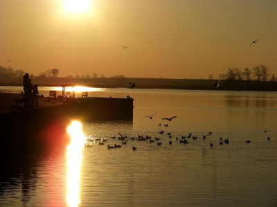 cynamonowo