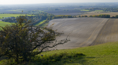 Dunstable Down