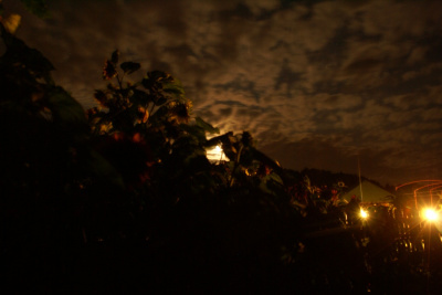 Słońce nocą
