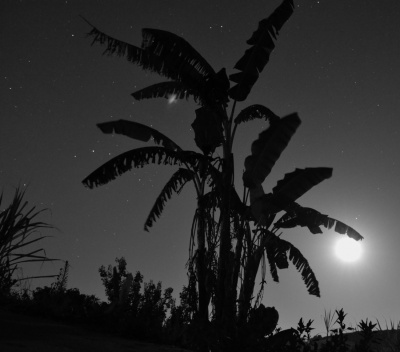 Nocą