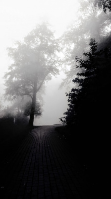 zacisze...
