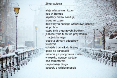 Zima stulecia