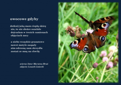 owocowe gdyby