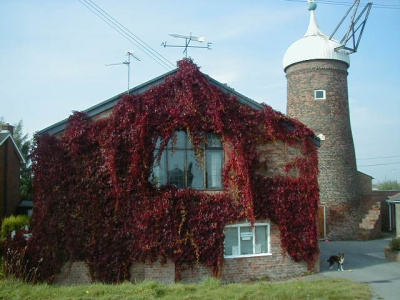 The Old Bakery