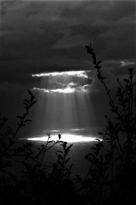 Light in Darkness