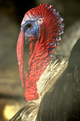 1412