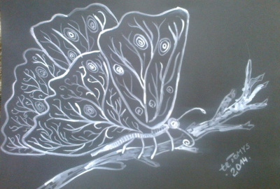 Motyl1