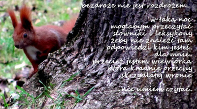 skąd..(17)