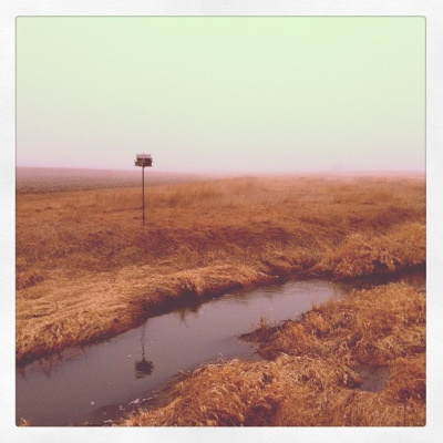 Thinking Places