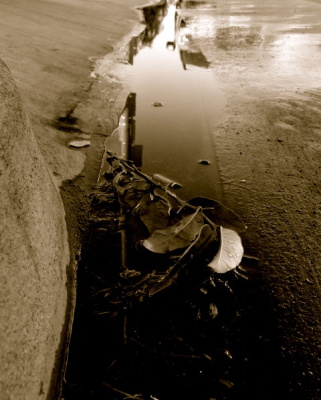 The River Knows...