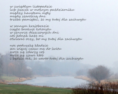 znów