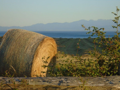 Making Hay
