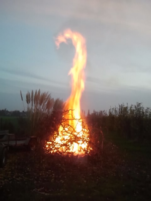 plonie ognisko...