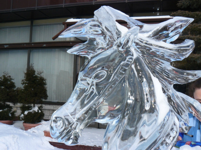 Konik