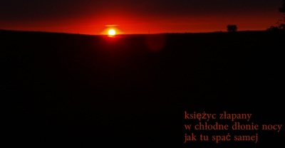 coraz niżej