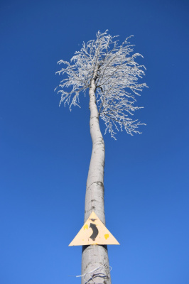 blue sky