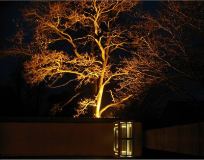 nocny scenariusz 3