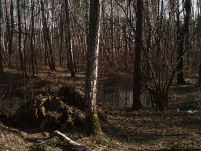 Moja okolica