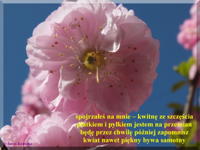 Chociaż przez chwilę
