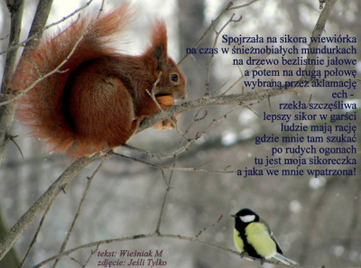 bajka na gałęzi
