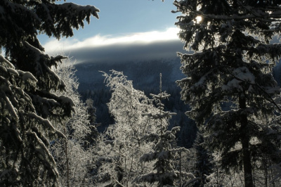 Karkonosze