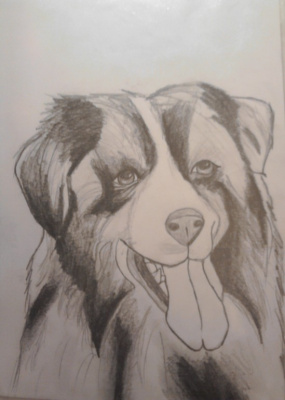 Piesek ;)