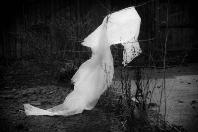 Flotsam