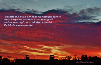 światło dnia