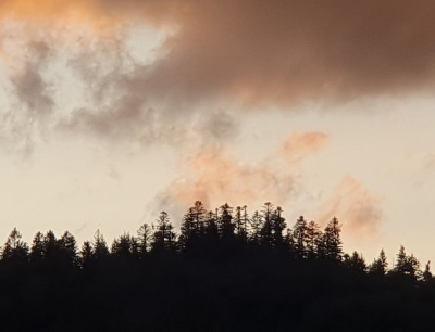 w drodze do domu pali się pali niebo nad głową