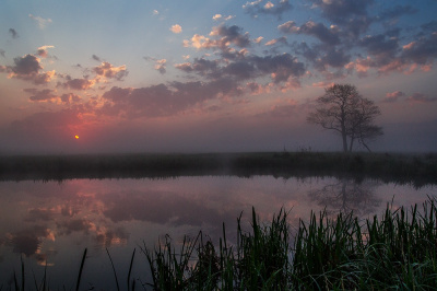 dzisiaj rano 02 05 2015 godz. 5/30