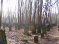 cmentarz żydowski 9
