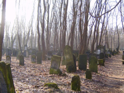 cmentarz żydowski 9