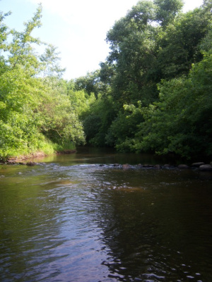 Świder