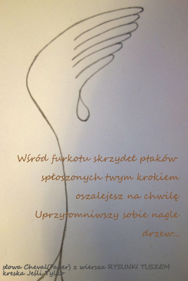wokół twojej miękkiej muzyki