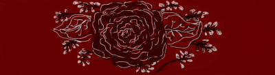 Rose for my love
