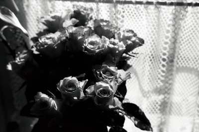 Broken flowers.
