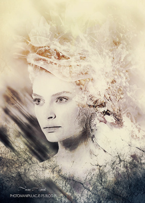 portret...