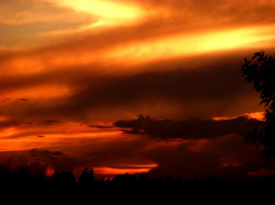dragon sunset