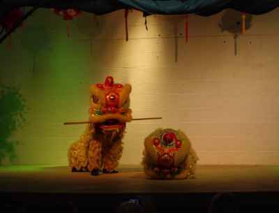 wu shu show