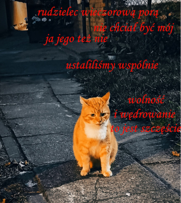spotkanie